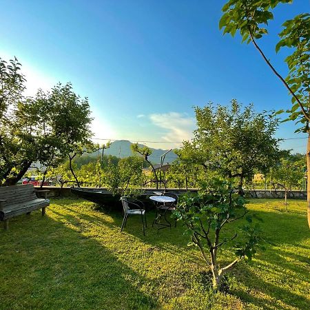 Country House Djurisic Virpazar Eksteriør bilde