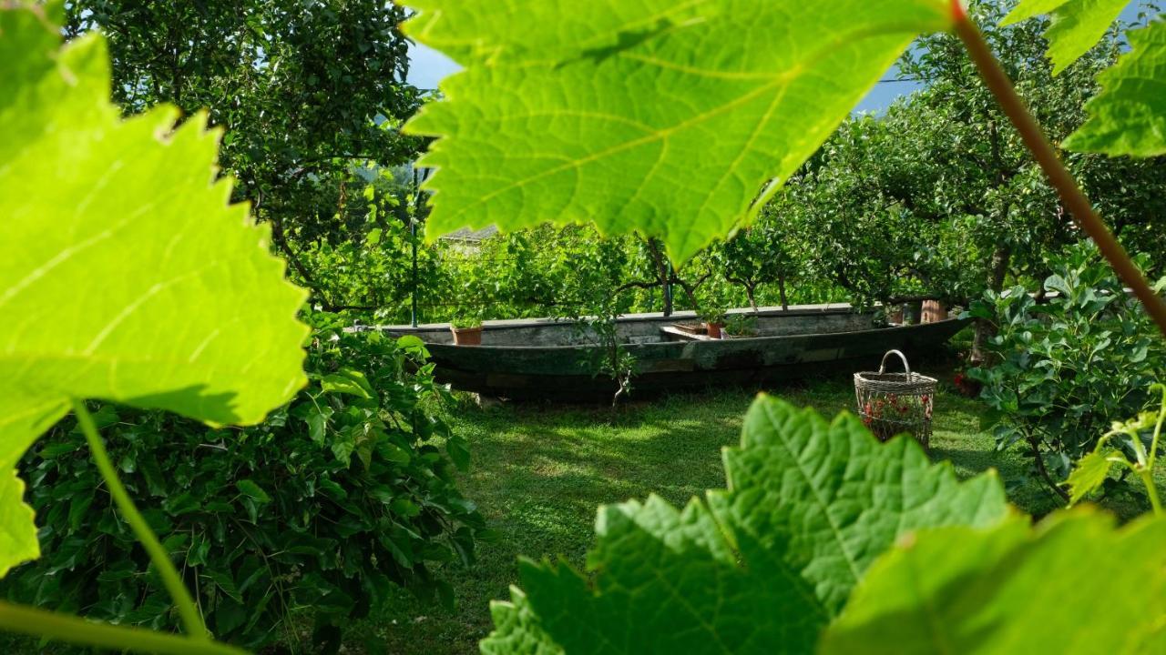Country House Djurisic Virpazar Eksteriør bilde