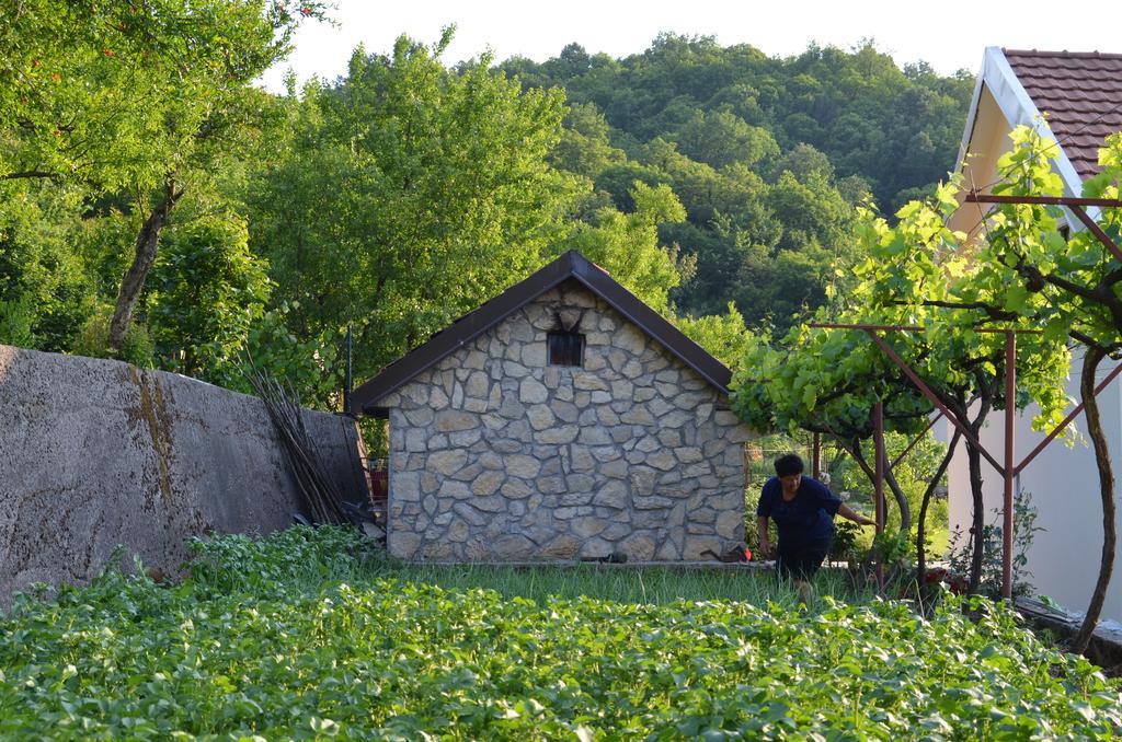 Country House Djurisic Virpazar Eksteriør bilde